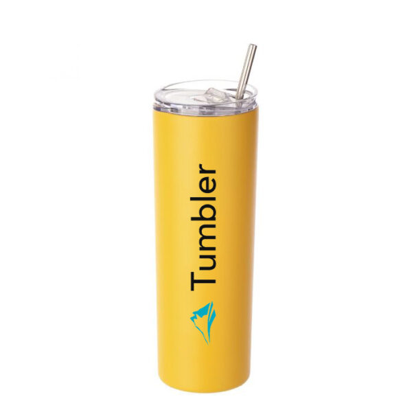 Skinny Tumbler with Lid and Straw | FDD1022